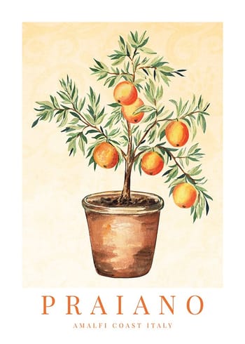 Plakat Praiano Amalfi Oranges